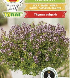 Tymianek właściwy 0,3g Toraf