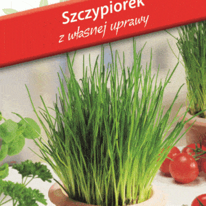 Szczypiorek Ogrodowy 'Wulkan' Mini ogród 1g PlantiCo